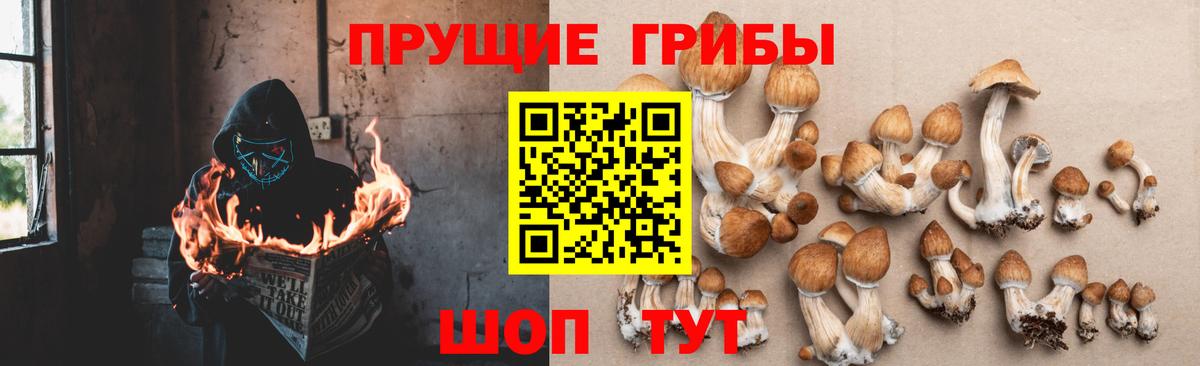 Галлюциногенные грибы GOLDEN TEACHER Энгельс